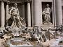 0427 Rome - Trevi fontein